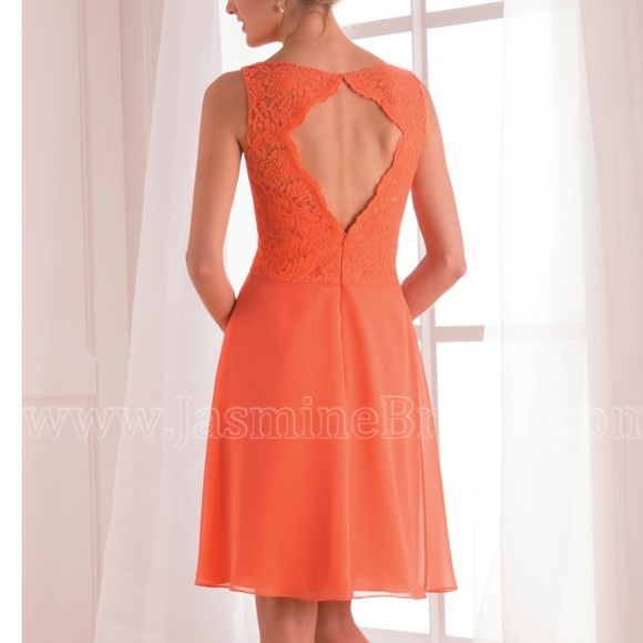 Grapefruit lace and chiffon knee length - Picture 3 of 12